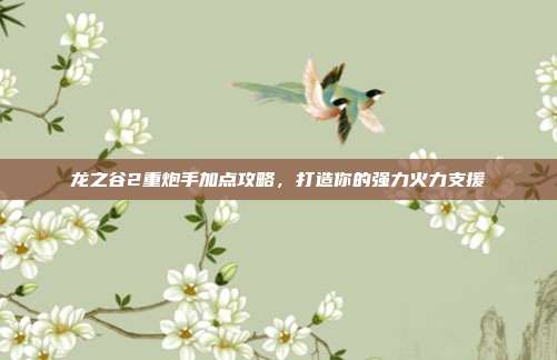 龙之谷2重炮手加点攻略,打造你的强力火力支援
