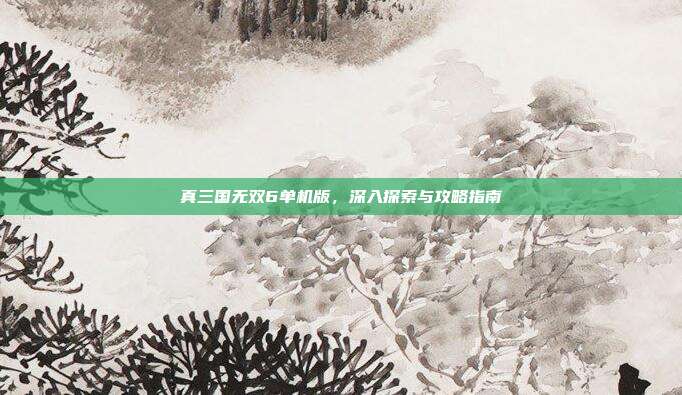 真三国无双6单机版，深入探索与攻略指南