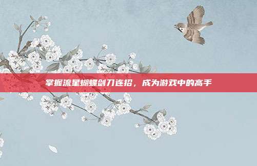 掌握流星蝴蝶剑刀连招,成为游戏中的高手