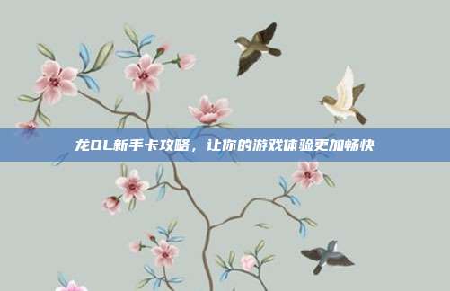 龙OL新手卡攻略,让你的游戏体验更加畅快