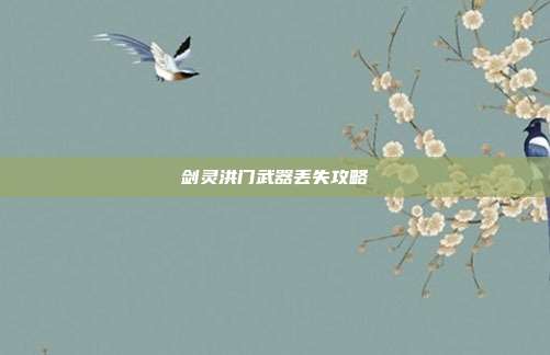 剑灵洪门武器丢失攻略