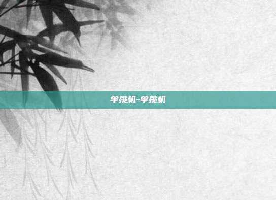 单挑机-单挑机