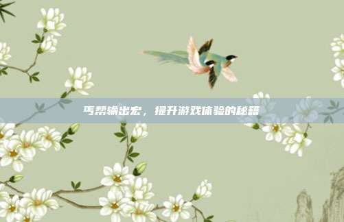 丐帮输出宏,提升游戏体验的秘籍