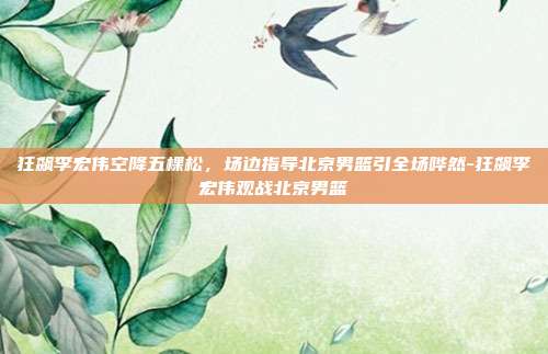 狂飙李宏伟空降五棵松，场边指导北京男篮引全场哗然-狂飙李宏伟观战北京男篮