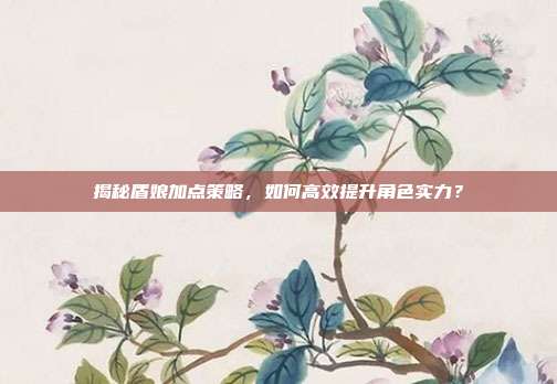 揭秘盾娘加点策略，如何高效提升角色实力？