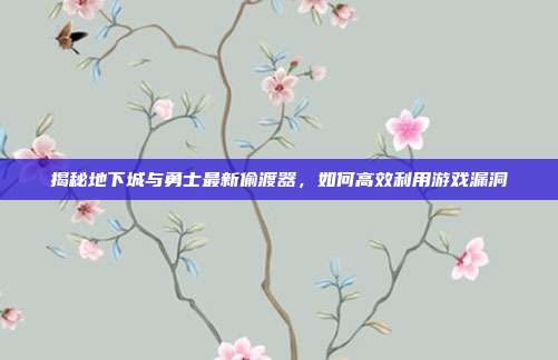 揭秘地下城与勇士最新偷渡器，如何高效利用游戏漏洞