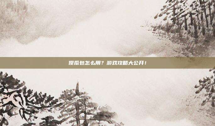 傻瓜包怎么用?游戏攻略大公开!