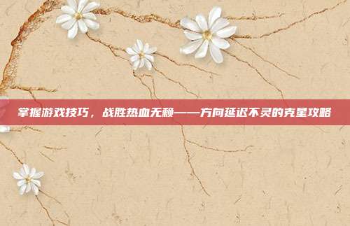 掌握游戏技巧,战胜热血无赖——方向延迟不灵的克星攻略