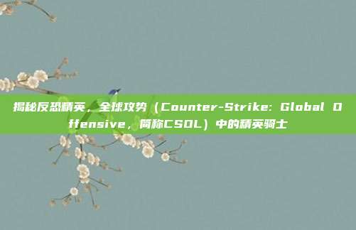 揭秘反恐精英,全球攻势(Counter-Strike: Global Offensive,简称CSOL)中的精英骑士