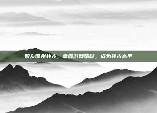 智友德州扑克,掌握游戏精髓,成为扑克高手
