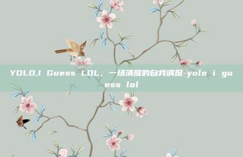 YOLO,I Guess LOL,一场清醒的自我调侃-yolo i guess lol