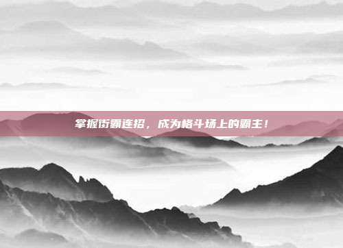 掌握街霸连招,成为格斗场上的霸主!