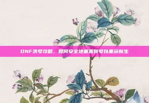 DNF洗号攻略,如何安全地重置账号以重获新生