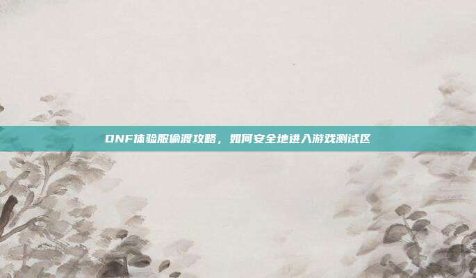 DNF体验服偷渡攻略,如何安全地进入游戏测试区