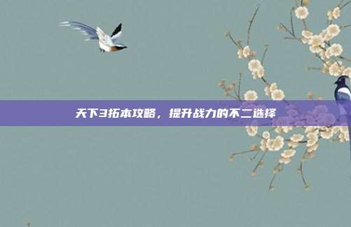 天下3拓本攻略,提升战力的不二选择