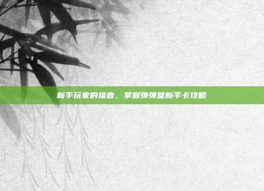 新手玩家的福音，掌握弹弹堂新手卡攻略