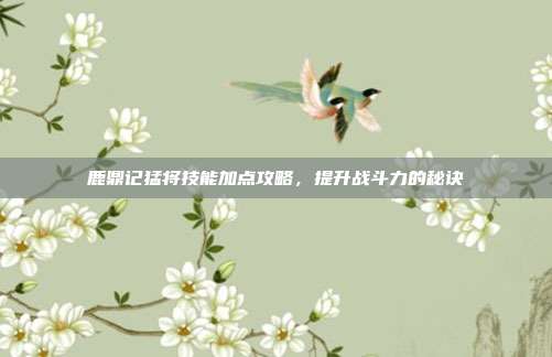 鹿鼎记猛将技能加点攻略,提升战斗力的秘诀