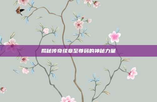 揭秘传奇续章至尊码的神秘力量