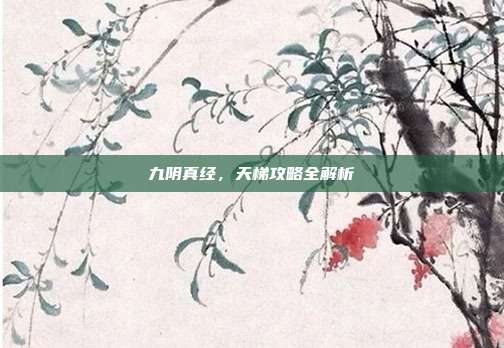九阴真经,天梯攻略全解析