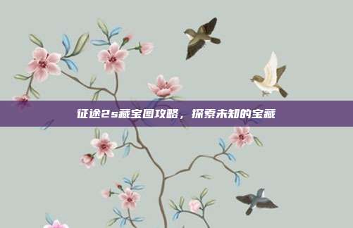 征途2s藏宝图攻略,探索未知的宝藏