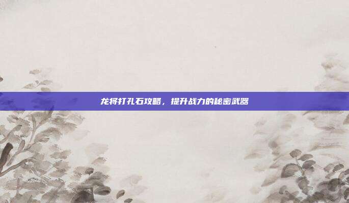 龙将打孔石攻略,提升战力的秘密武器