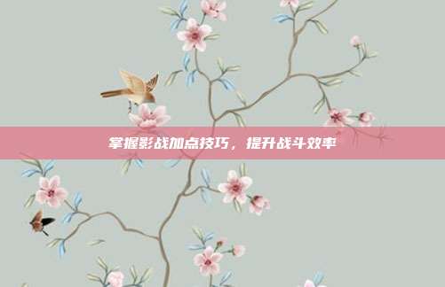 掌握影战加点技巧，提升战斗效率