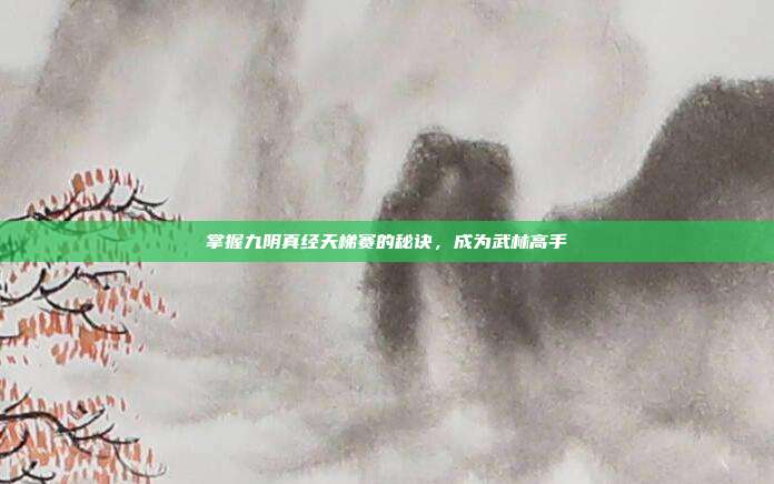 掌握九阴真经天梯赛的秘诀,成为武林高手