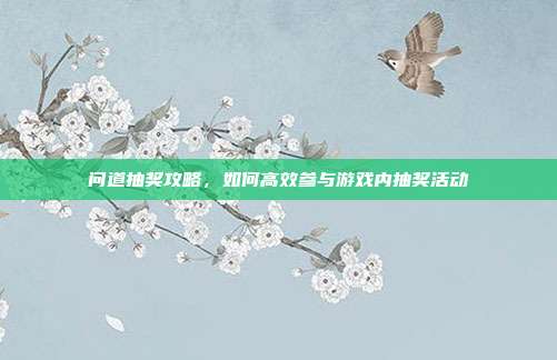 问道抽奖攻略,如何高效参与游戏内抽奖活动