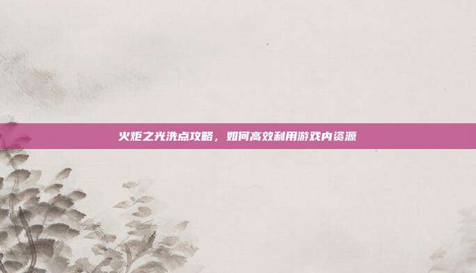 火炬之光洗点攻略,如何高效利用游戏内资源