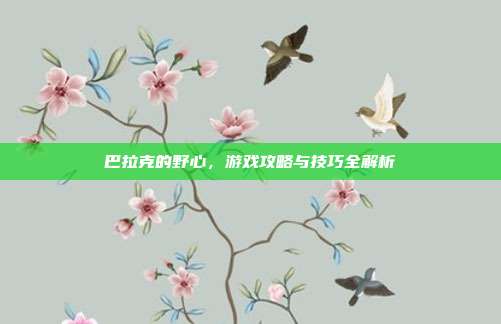 巴拉克的野心,游戏攻略与技巧全解析