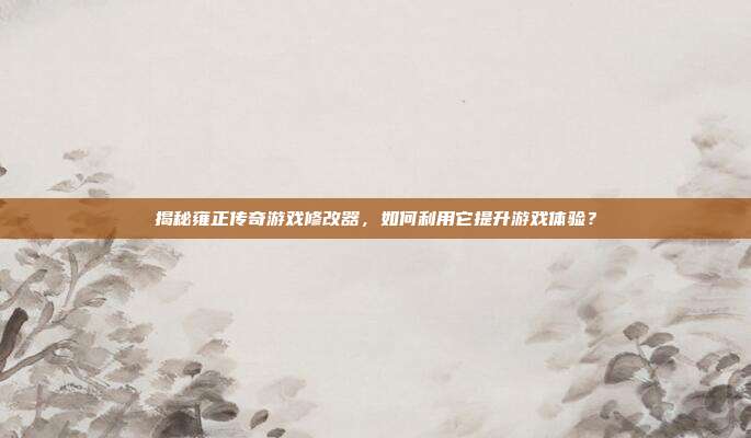 揭秘雍正传奇游戏修改器，如何利用它提升游戏体验？