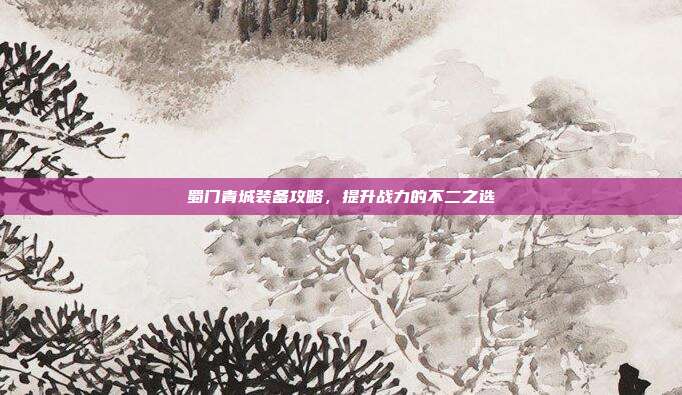 蜀门青城装备攻略,提升战力的不二之选