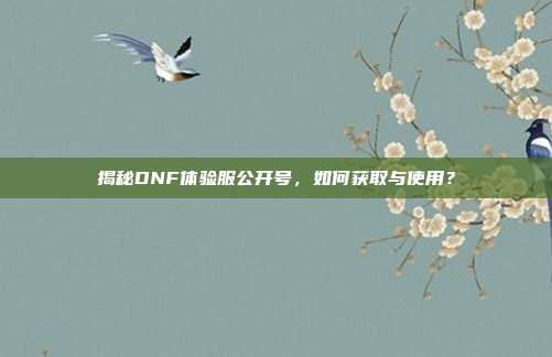 揭秘DNF体验服公开号,如何获取与使用?
