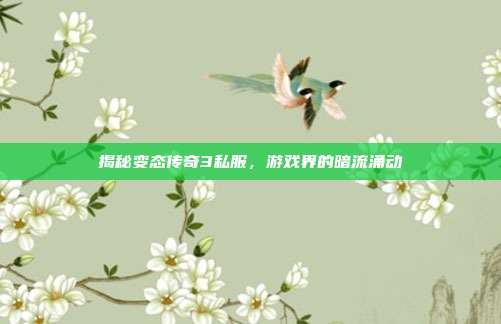 揭秘变态传奇3私服,游戏界的暗流涌动