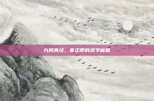 九阴真经，曹正卿的武学秘籍
