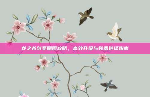 龙之谷剑圣刷图攻略,高效升级与装备选择指南