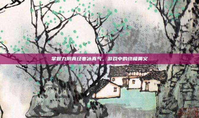 掌握九阴真经寒冰真气，游戏中的终极奥义