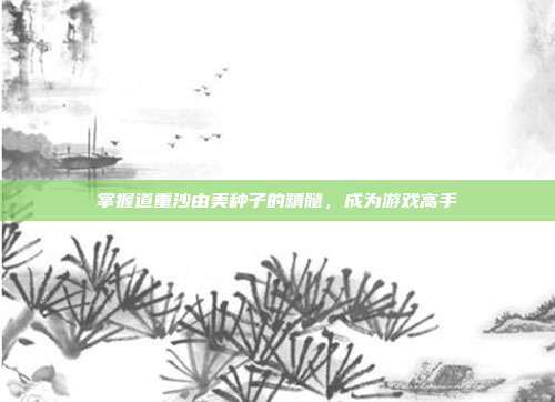 掌握道重沙由美种子的精髓，成为游戏高手