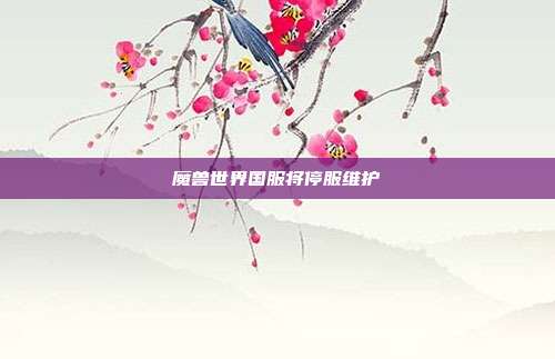 魔兽世界国服将停服维护