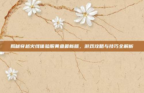 揭秘穿越火线体验服黄鱼最新版，游戏攻略与技巧全解析