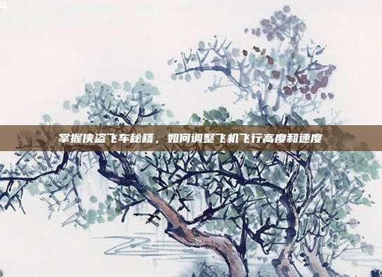 掌握侠盗飞车秘籍,如何调整飞机飞行高度和速度
