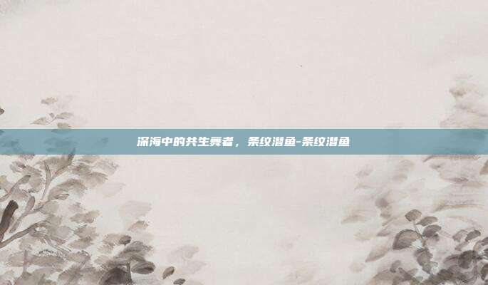 深海中的共生舞者,条纹潜鱼-条纹潜鱼