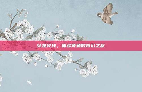 穿越火线,体验黄鱼的奇幻之旅