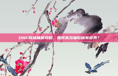 DNF商城抽奖攻略,如何高效抽取稀有道具?
