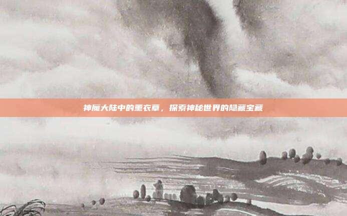 神魔大陆中的薰衣草，探索神秘世界的隐藏宝藏