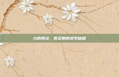 九阴真经,曹正卿的武学秘籍