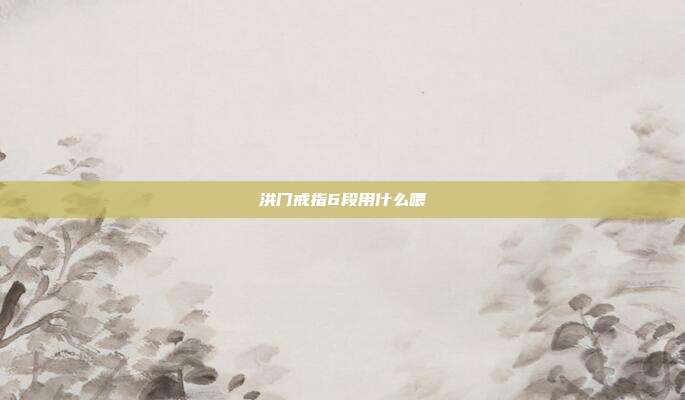 洪门戒指6段用什么喂