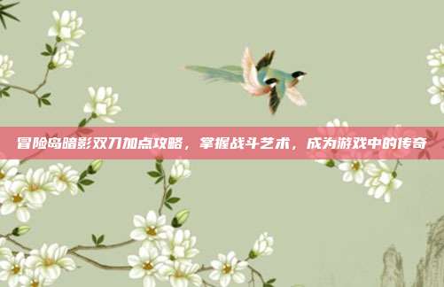 冒险岛暗影双刀加点攻略,掌握战斗艺术,成为游戏中的传奇