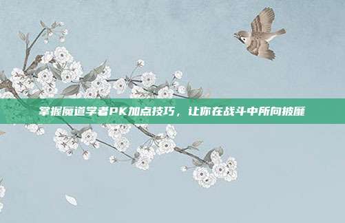 掌握魔道学者PK加点技巧，让你在战斗中所向披靡