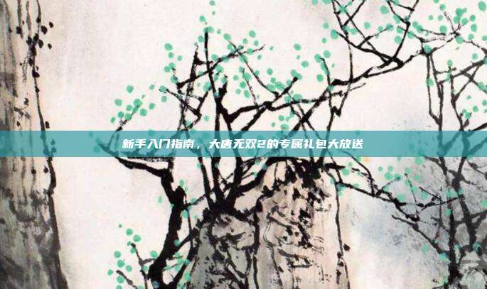 新手入门指南，大唐无双2的专属礼包大放送